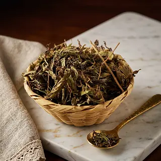 Stevia Nacional