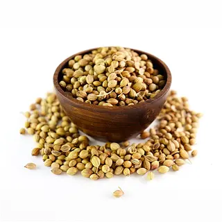 Semilla De Cilantro